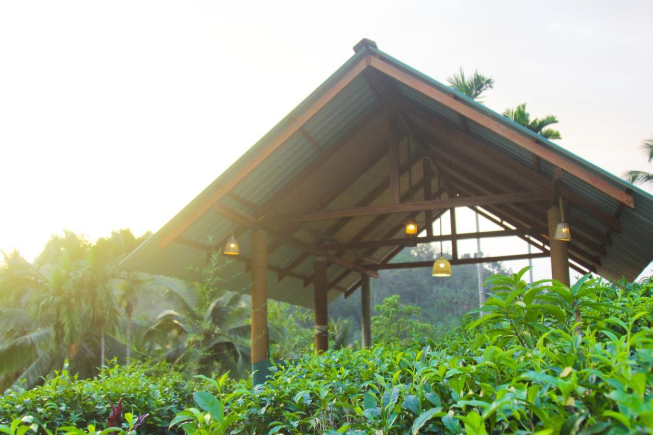 Rainforest Mount Lodge Deniyaya Luaran gambar