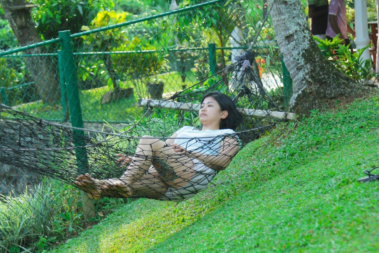 Rainforest Mount Lodge Deniyaya Luaran gambar