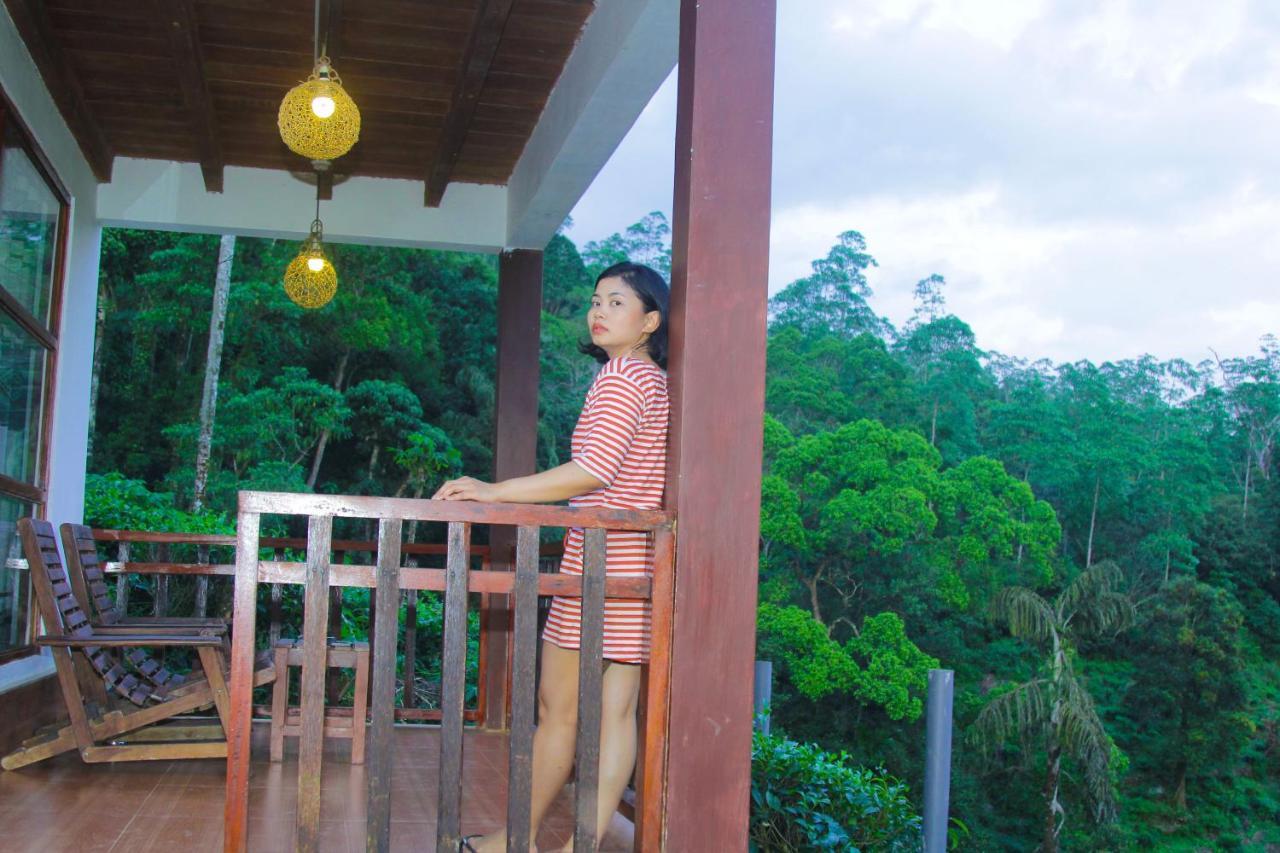 Rainforest Mount Lodge Deniyaya Luaran gambar