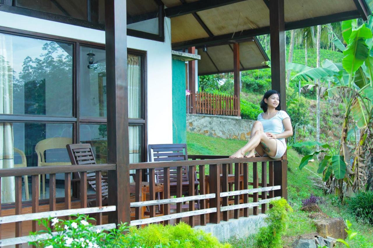 Rainforest Mount Lodge Deniyaya Luaran gambar