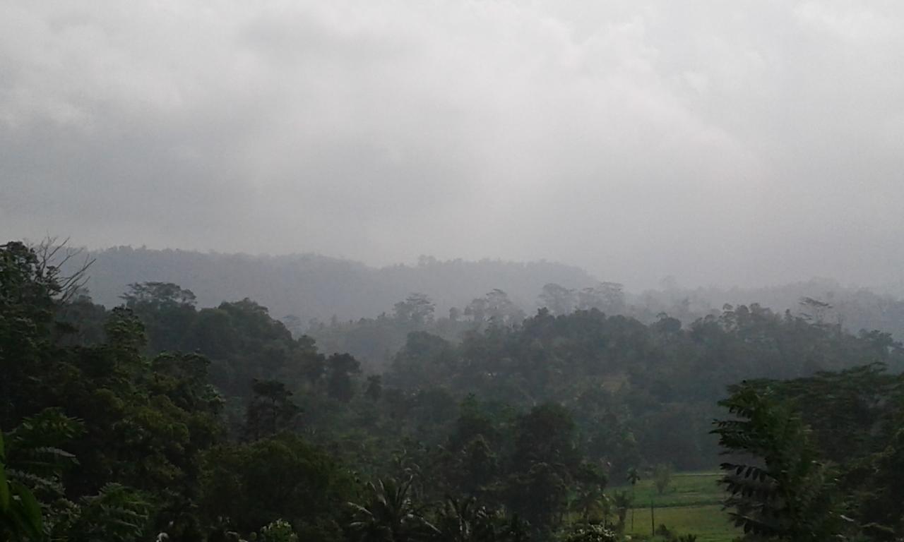 Rainforest Mount Lodge Deniyaya Luaran gambar