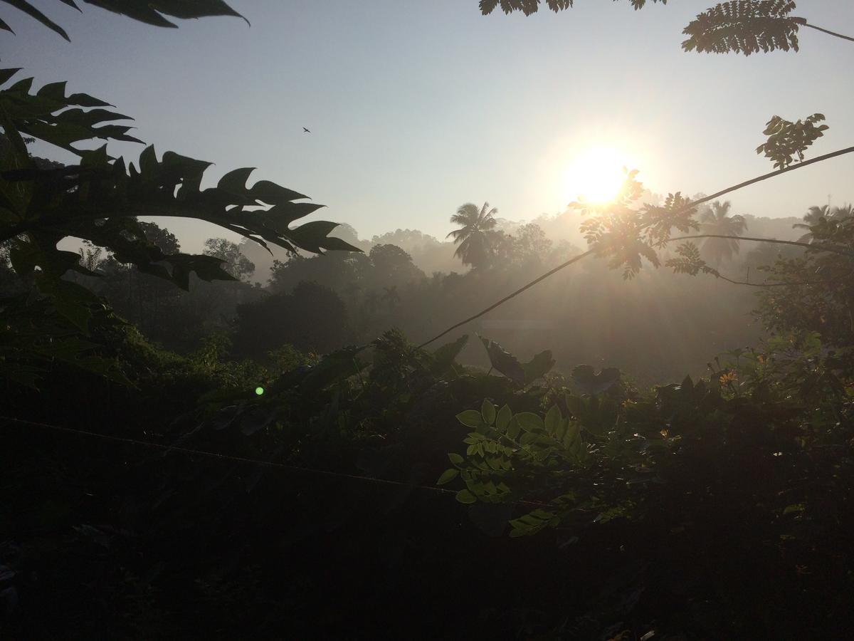 Rainforest Mount Lodge Deniyaya Luaran gambar