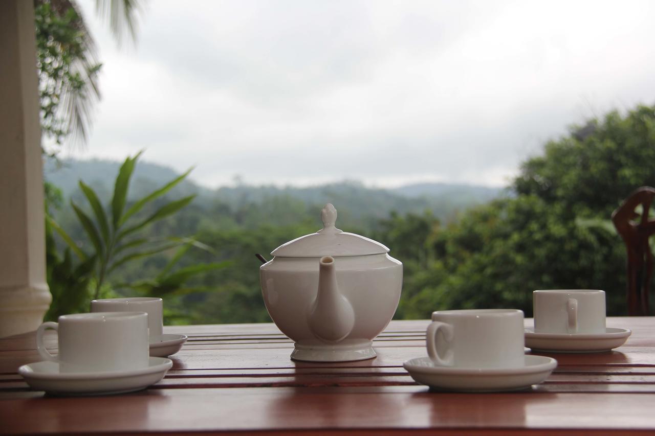 Rainforest Mount Lodge Deniyaya Luaran gambar