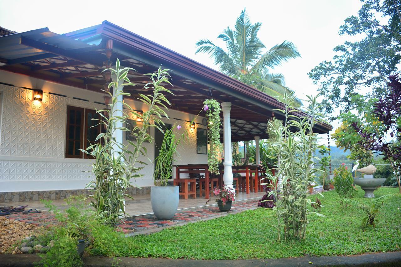 Rainforest Mount Lodge Deniyaya Luaran gambar