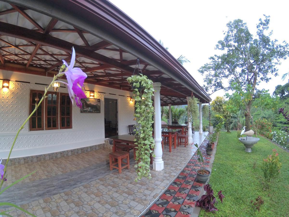 Rainforest Mount Lodge Deniyaya Luaran gambar