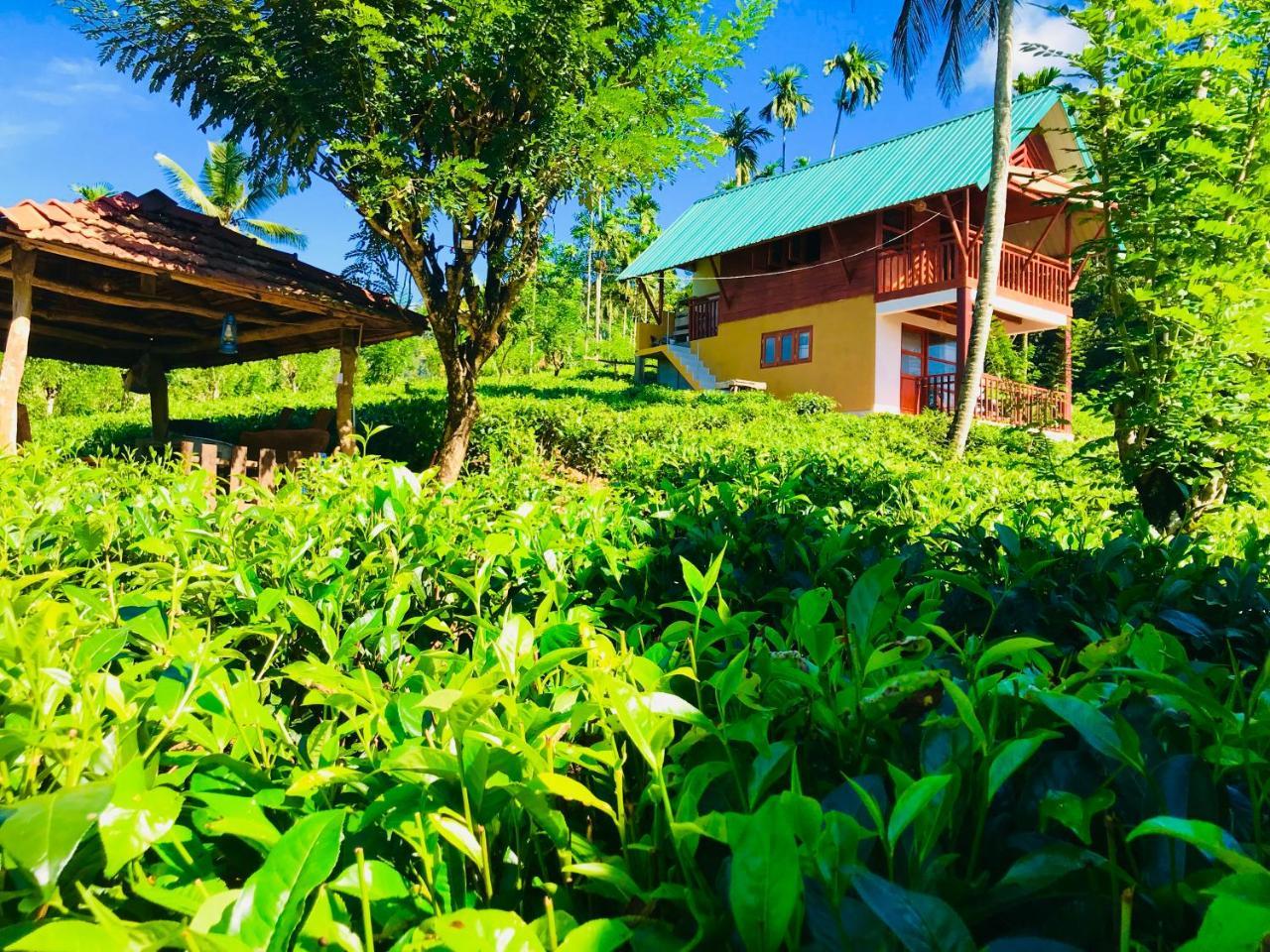 Rainforest Mount Lodge Deniyaya Luaran gambar