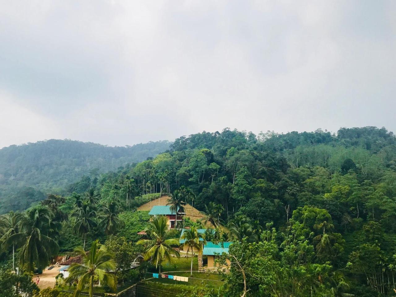 Rainforest Mount Lodge Deniyaya Luaran gambar