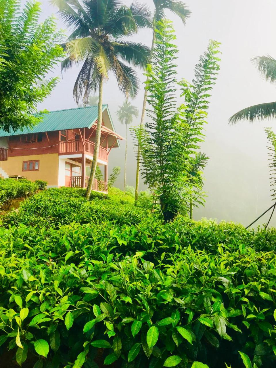 Rainforest Mount Lodge Deniyaya Luaran gambar