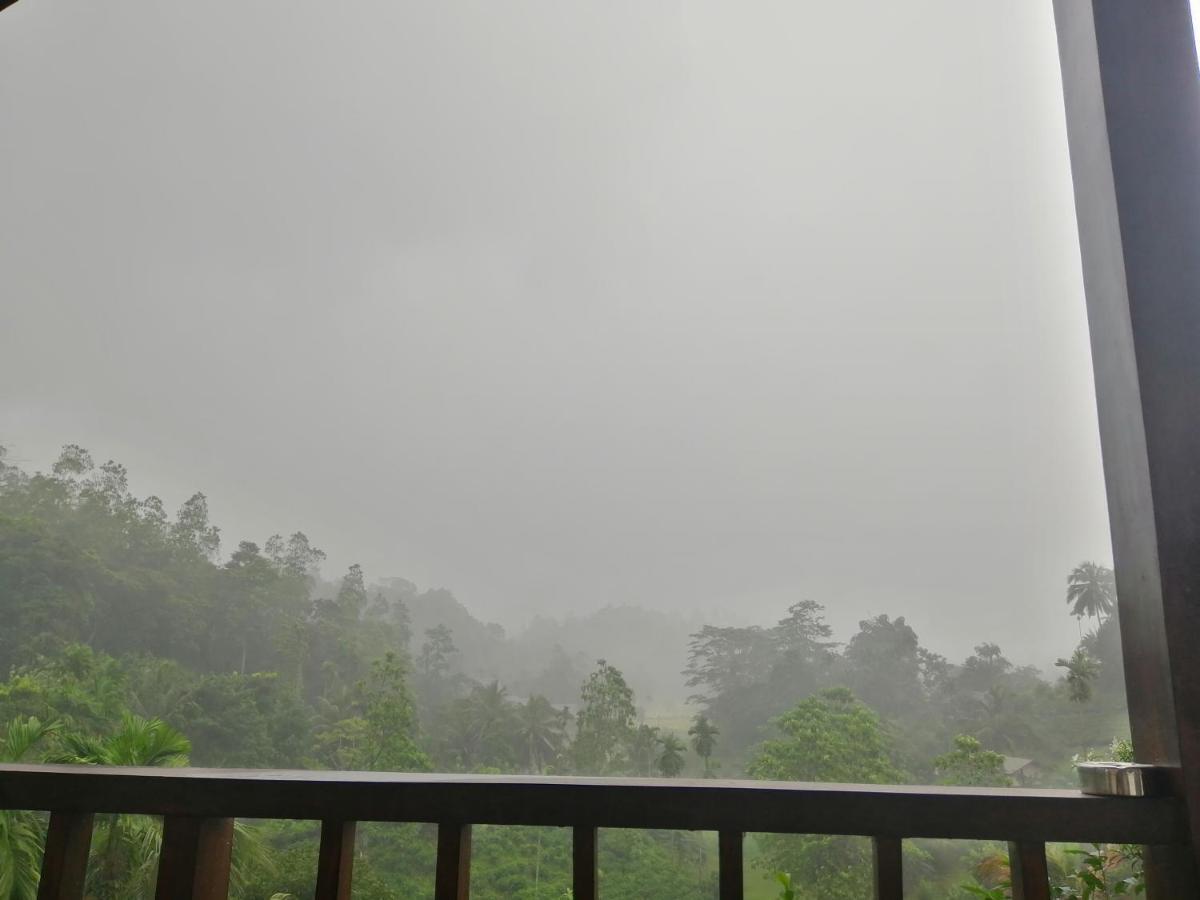 Rainforest Mount Lodge Deniyaya Luaran gambar