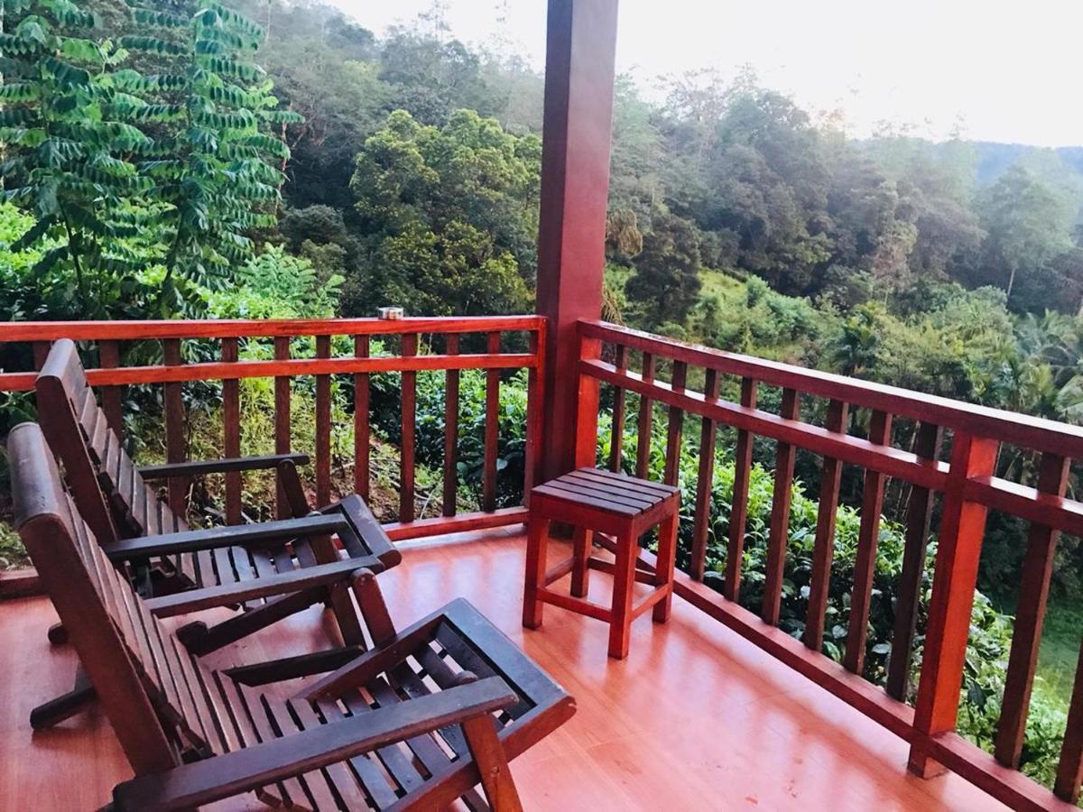 Rainforest Mount Lodge Deniyaya Luaran gambar
