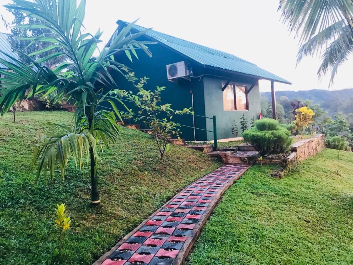 Rainforest Mount Lodge Deniyaya Luaran gambar