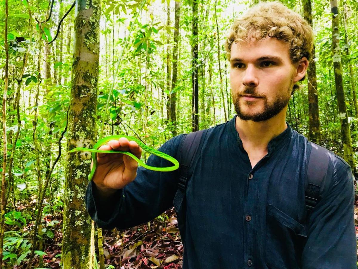 Rainforest Mount Lodge Deniyaya Luaran gambar