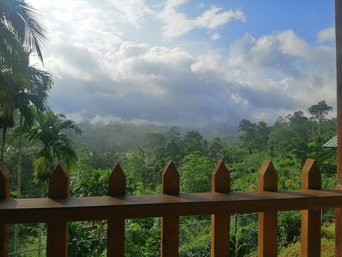 Rainforest Mount Lodge Deniyaya Luaran gambar